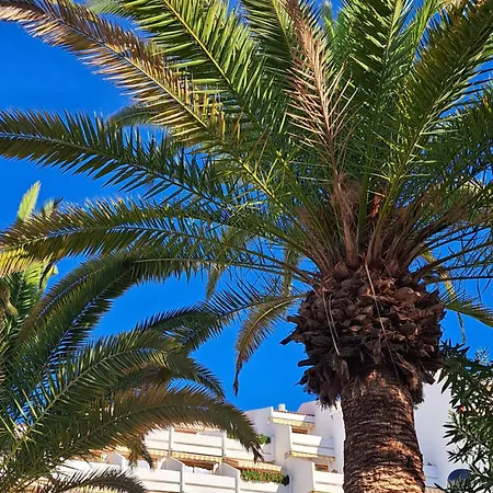 Garden Seaview Americas * Playa Feñabe