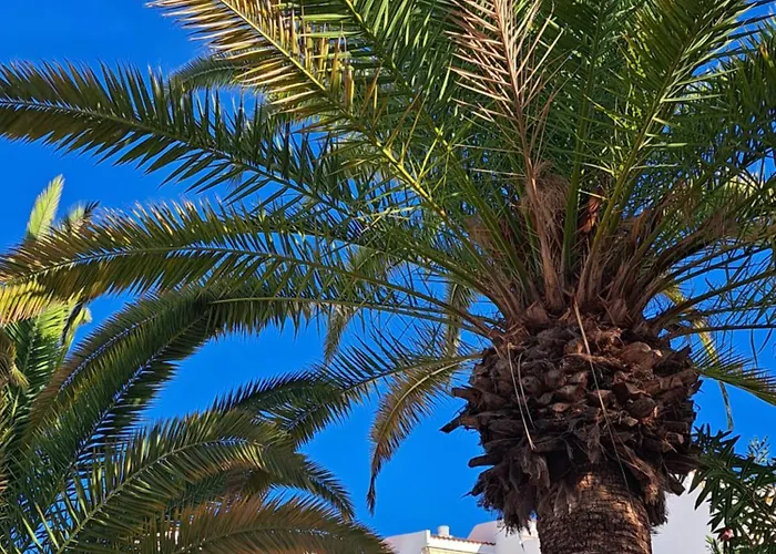 Garden Seaview Americas * Playa Feñabe